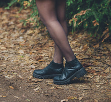 Cargar imagen en el visor de la galería, Cormorán Negro (PRE-ORDER)