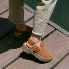 Cargar imagen en el visor de la galería, Morito Tostado (PRE-ORDER)