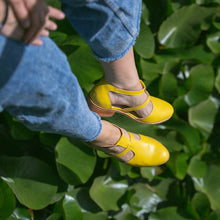 Cargar imagen en el visor de la galería, Mirlo Amarillo (PRE-ORDER)