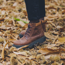 Cargar imagen en el visor de la galería, Traro Castaño (PRE-ORDER)