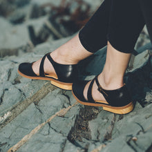 Cargar imagen en el visor de la galería, Petrel Negro (PRE-ORDER)