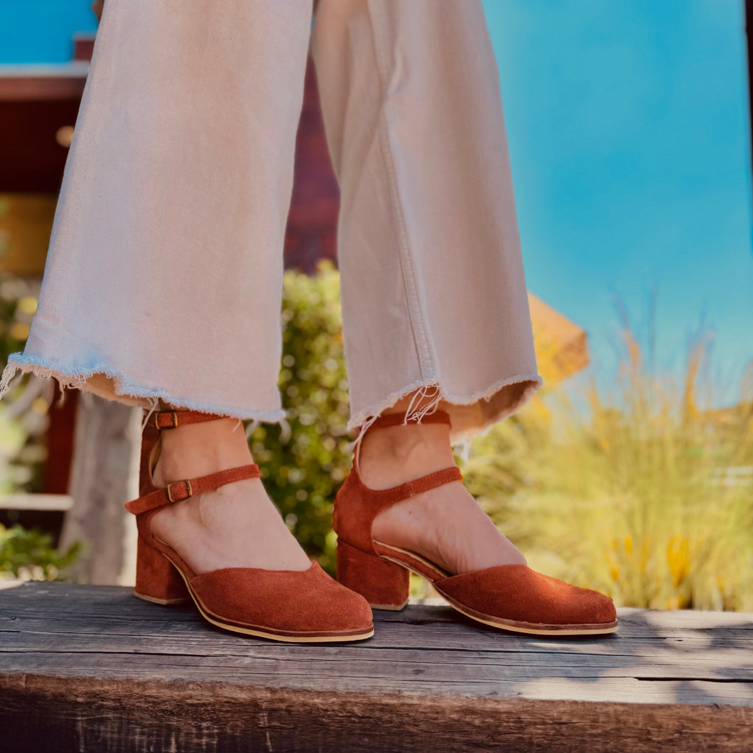 Cotorra Terracota (PRE-ORDER)