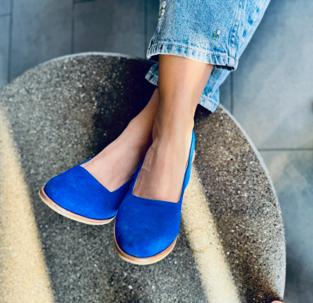 Bisbita Azul Rey (PRE-ORDER)