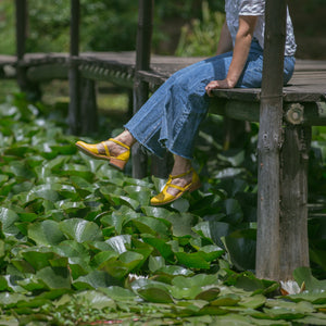 Mirlo Amarillo (PRE-ORDER)