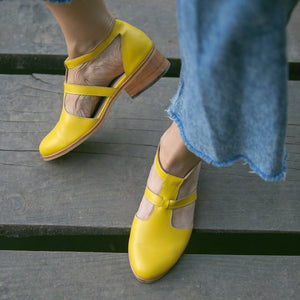 Mirlo Amarillo (PRE-ORDER)