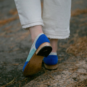 Picaflor Azul Rey (PRE-ORDER)