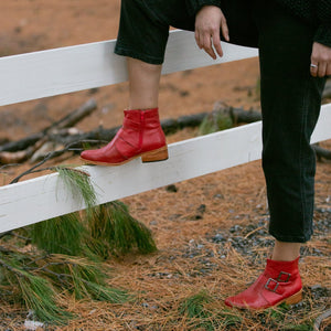 Pequén Rojo (PRE-ORDER)
