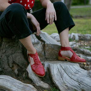 Petirrojo Rojo (PRE-ORDER)