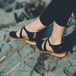 Petrel Negro (PRE-ORDER)